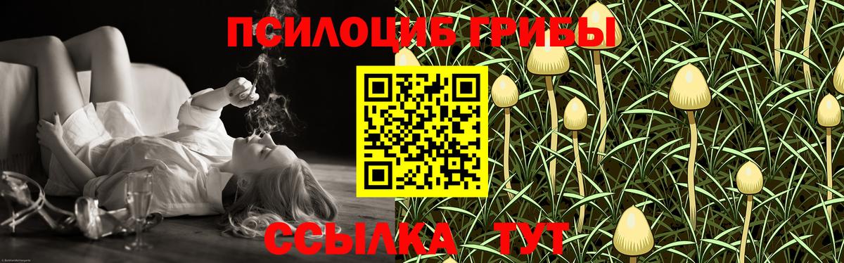 Псилоцибиновые грибы мухоморы  Галлюциногенные грибы MAGIC MUSHROOMS  Вход с VPN  Городец 