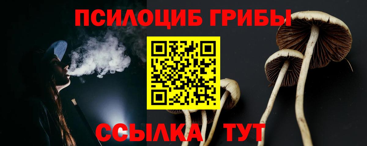 Галлюциногенные грибы прущие грибы Городец